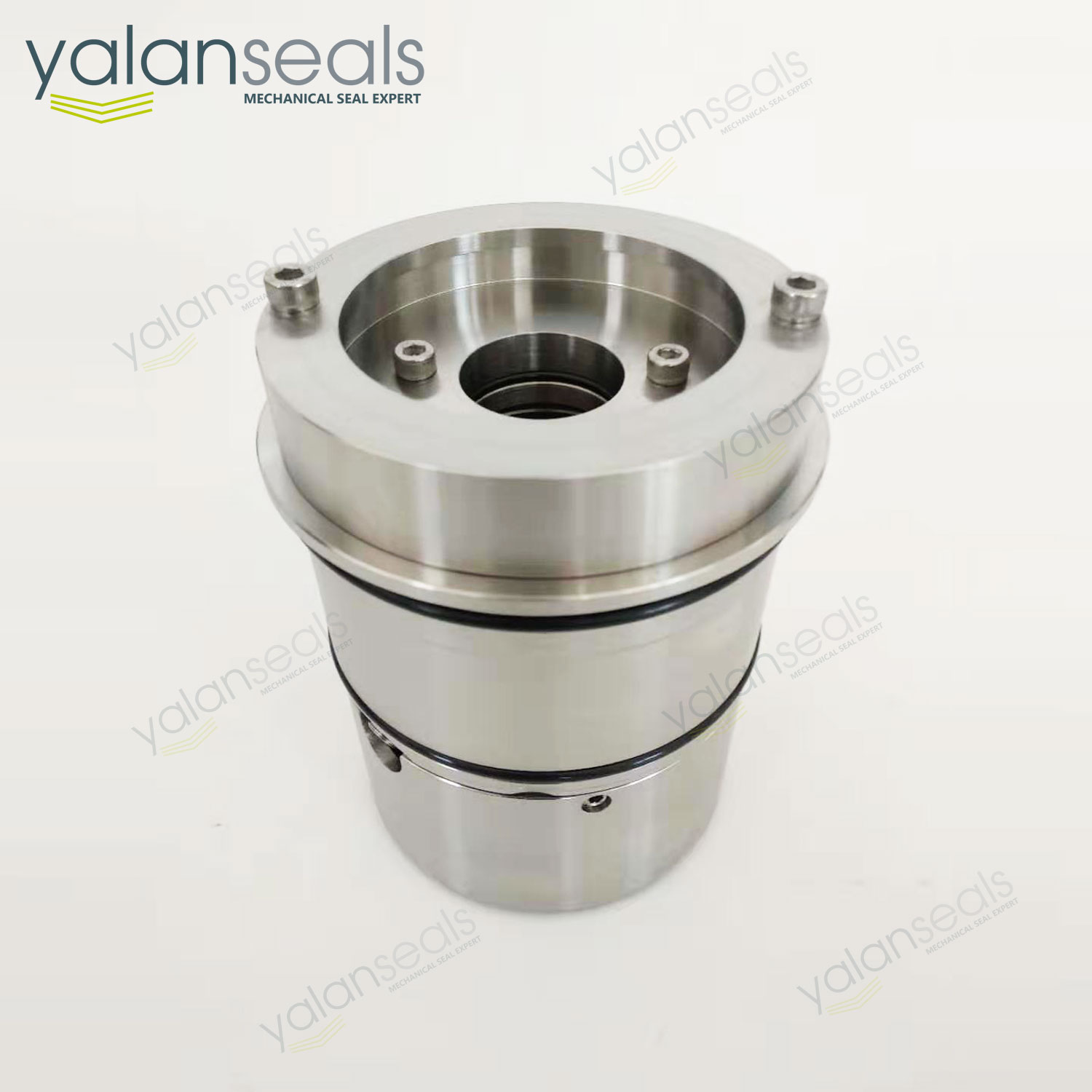 亞蘭SE2C型雙集裝式機械密封件